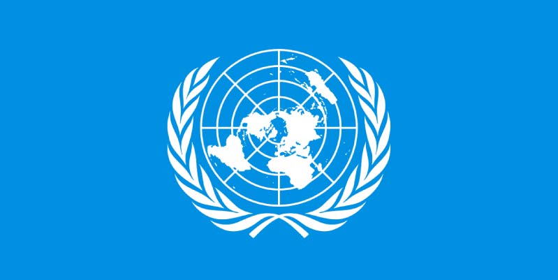 Cómo trabajar en la ONU paso a paso